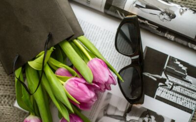 Guide complet des verres de lunettes de soleil : teintes, filtres et bienfaits